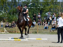 _DSC7695_web